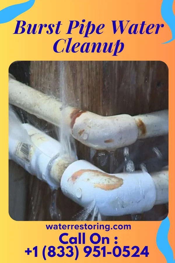 Burst Pipe Water Cleanup in Huntertown, IN