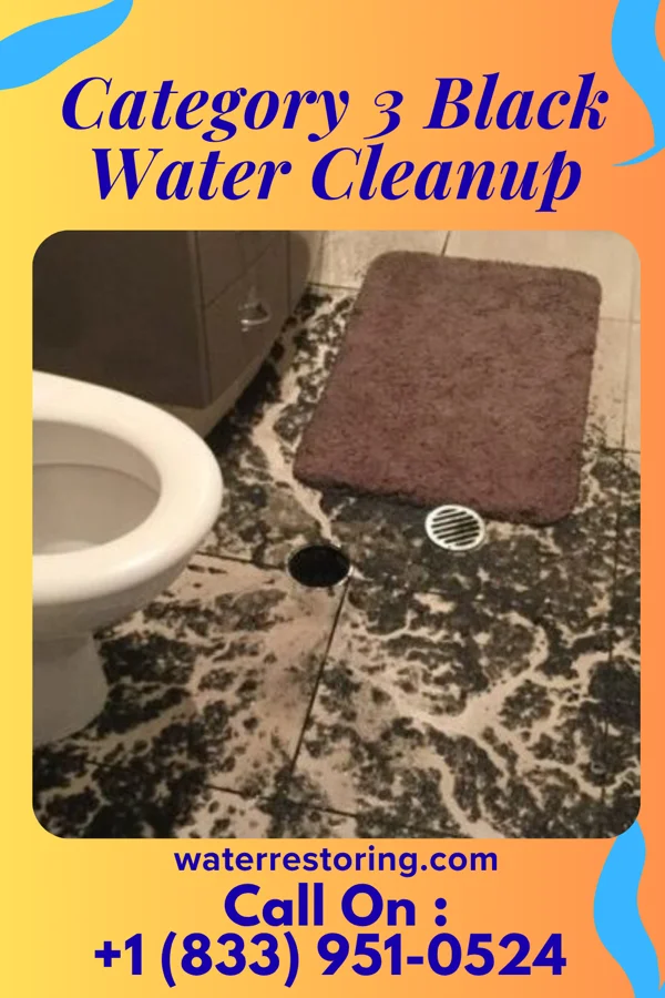 Category 3 Black Water Cleanup in Huntertown, IN